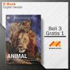 1img20190502-154402_e-secrets-of-the-animal-world-dk-publi_1-Seri-2d.jpg