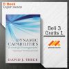 1img20190503-004603_pabilities-and-strategic-management-or_1-Seri-2d.jpg