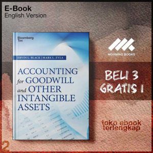 Accounting_for_goodwill_and_other_intangible_assets_by_Black_Ervin_LZyla_Mark_L.jpg
