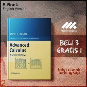 Advanced_Calculus_A_Geometric_View_by_James_J_Callahan.jpg