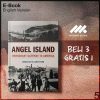 Angel_Island_-_Erika_Lee_000001-Seri-2f.jpg