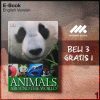DK_Books_Animals_Around_the_World-Seri-2f.jpg