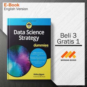 Data_Science_Strategy_For_Dummies_1st_Edition_000001-Seri-2d.jpg