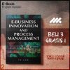 E_Business_Innovation_and_Process_Management_by_In_Lee_In_Lee.jpg