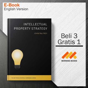 Intellectual_Property_Strategy_000001-Seri-2d.jpg