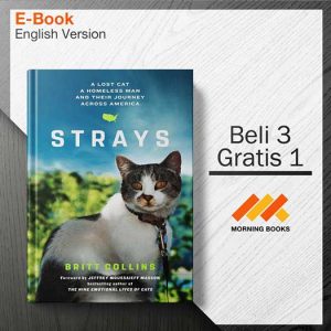 Strays_-_Britt_Collins_000001-Seri-2d.jpg