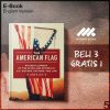 The_American_Flag_-_John_R_Vile_000001-Seri-2f.jpg