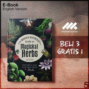 The_Modern_Witchcraft_Guide_to_-_Judy_Ann_Nock_000001-Seri-2f.jpg