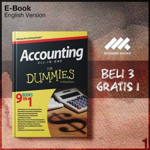 XQZ_Accounting_All_in_One_For_Dummies-Seri-2f.jpg
