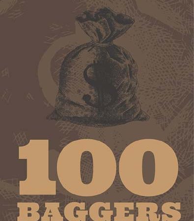 100_Baggers_Stocks_that_Return_100to1_and_How_to_Find_Them_by_Christopher_W_Mayer.jpg