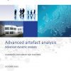 Advanced_artefact_analysis_Advanced_dynamic_analysis_Handbook_Document_for_Teachers.jpg