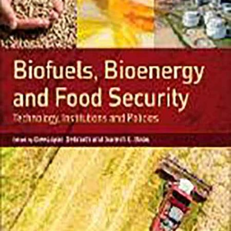 Biofuels_Bioenergy_and_Food_Security_Technology_Institutions_and_Policies.jpg