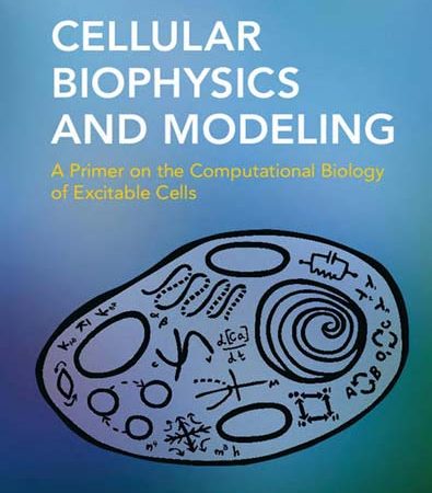 Cellular_Biophysics_and_Modeling_A_Primer_on_the_Computational_Biology_of_Excitable_Cells.jpg