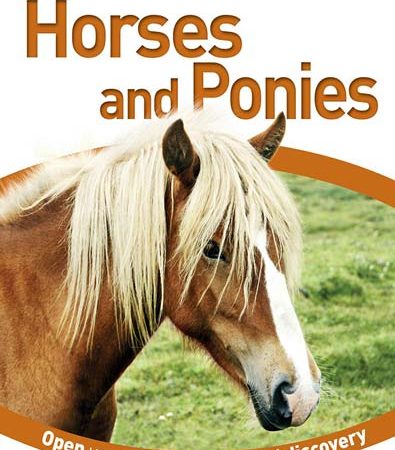 DK_Books_Eye_Wonder_Horses_and_Ponies.jpg