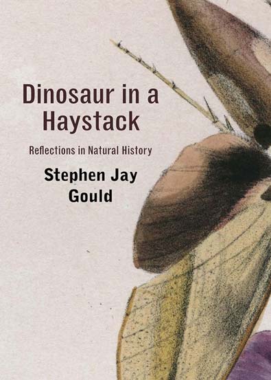 Dinosaur_in_a_Haystack_Reflections_in_Natural_History.jpg Dinosaur_in_a_Haystack_Reflections_in_Natural_History.jpg