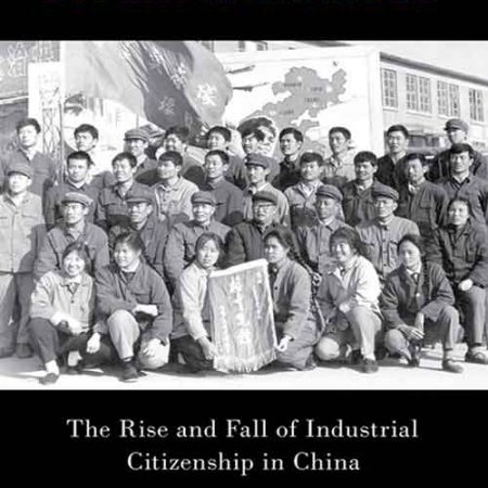 Disenfranchised_The_Rise_and_Fall_of_Industrial_Citizenship_in_China.jpg