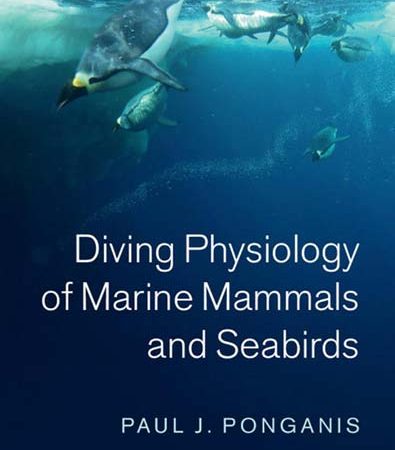Diving_Physiology_of_Marine_Mammals_and_Seabirds.jpg
