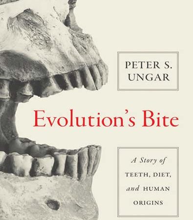 Evolutions_bite_a_story_of_teeth_diet_and_human_origins.jpg