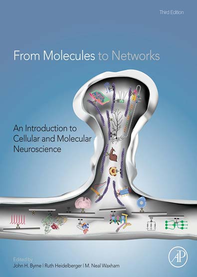 From_Molecules_to_Networks_Third_Edition_An_Introduction_to_Cellular_and_Molecular_Neuroscience.jpg