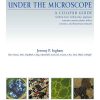 Geomaterials_Under_the_Microscope.jpg