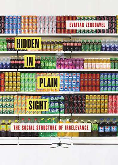 Hidden_in_Plain_Sight_The_Social_Structure_of_Irrelevance.jpg