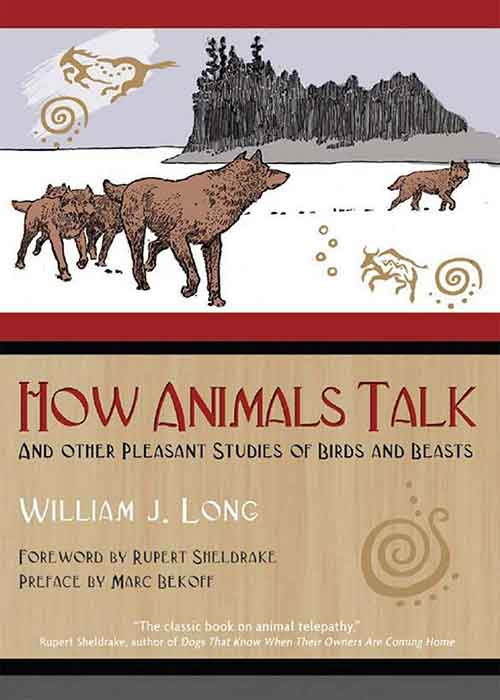 How_Animals_Talk_And_Other_Pleasant_Studies_of_Birds_and_Beasts_By_William_J_Long.jpg