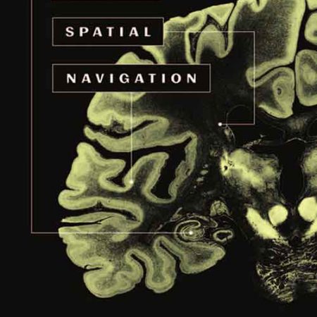 Human_Spatial_Navigation.jpg