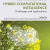 Hybrid_Computational_Intelligence_Challenges_and_Applications.jpg