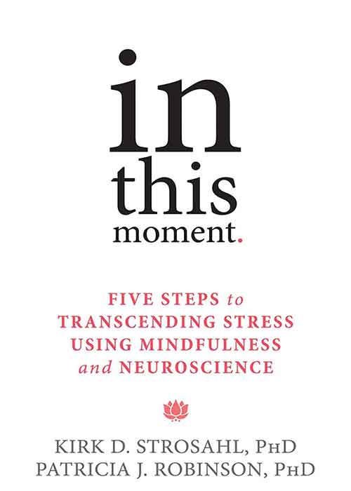 In_This_Moment_Five_Steps_to_Transcending_Stress_Using_Mindfulness.jpg