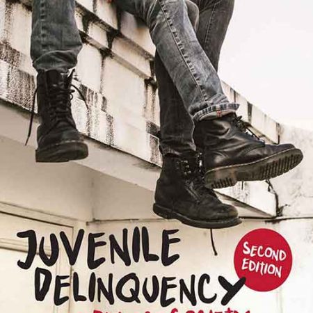 Juvenile_Delinquency_in_a_Diverse_Society.jpg