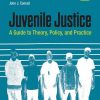 Juvenile_Justice_A_Guide_to_Theory_Policy_and_Practice.jpg
