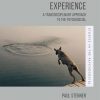 Liminality_and_Experience_A_Transdisciplinary_Approach_to_the_Psychosocial.jpg
