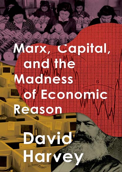 Marx_Capital_and_the_Madness_of_Economic_Reason.jpg