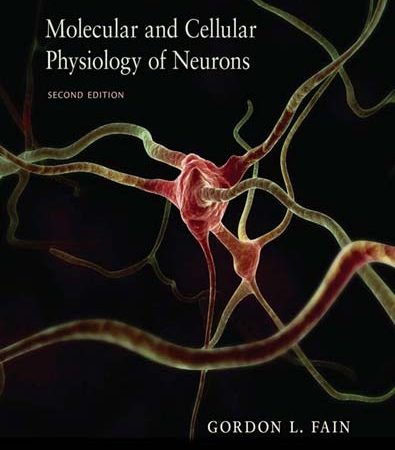 Molecular_and_Cellular_Physiology_of_Neurons_Second_Edition.jpg