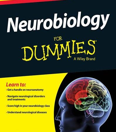 Neurobiology_For_Dummies.jpg