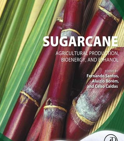 Sugarcane_agricultural_production_bioenergy_and_ethanol.jpg