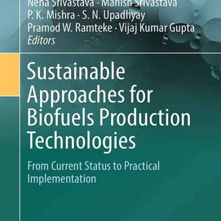 Sustainable_Approaches_for_Biofuels_Production_Technologies.jpg