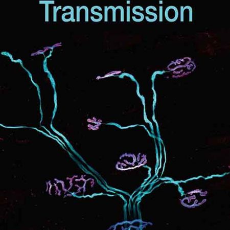 Synaptic_Transmission.jpg