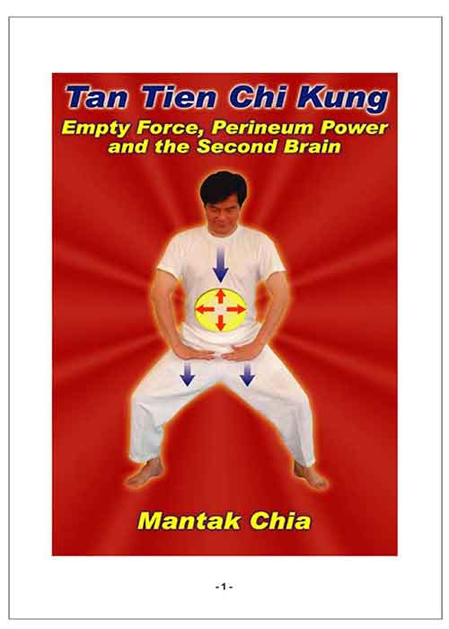 Tan_Tien_Chi_Kung_by_Mantak_Chia.jpg