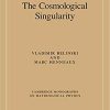 The_Cosmological_Singularity.jpg