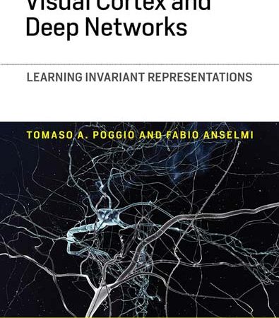 Visual_cortex_and_deep_networks_learning_invariant_representations.jpg